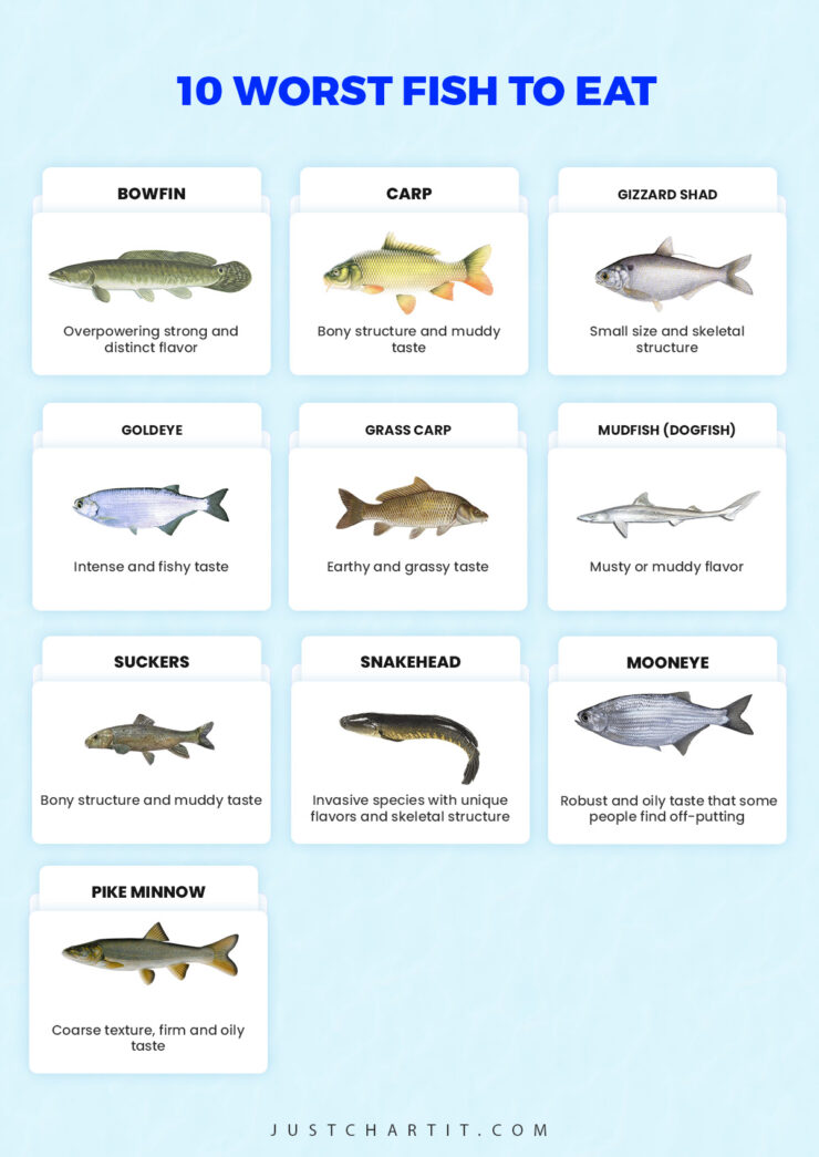 10 worst fish to eat