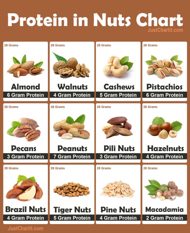 protein in nuts & dry Fruits chart