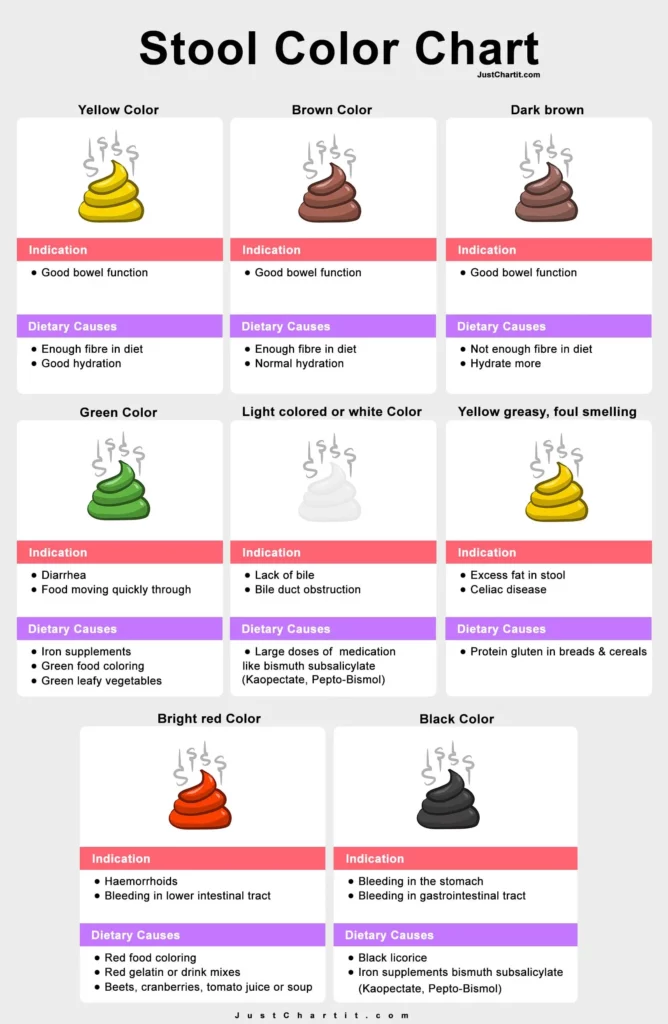 Stool Color Chart - Poop Types, Color & Shapes Meaning