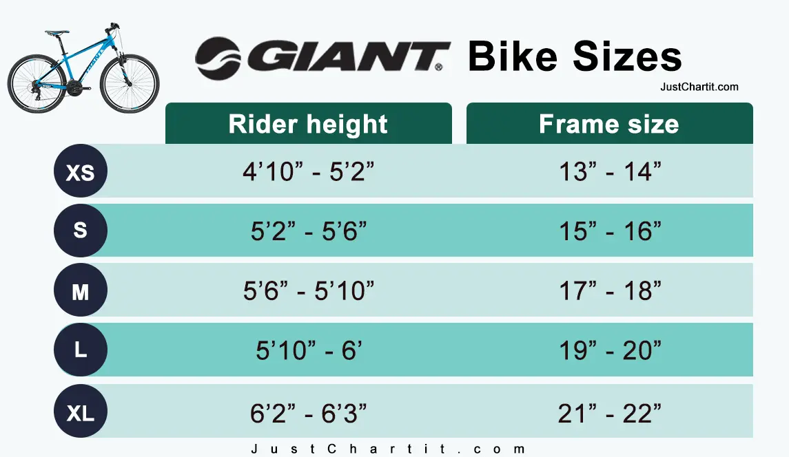 Height chart for discount mountain bikes size