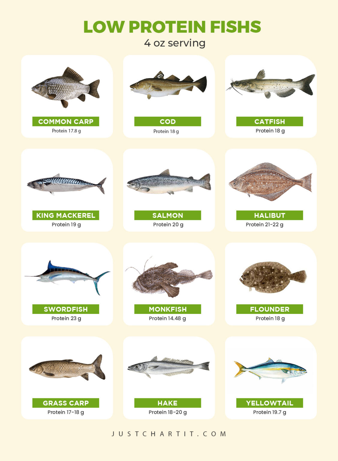 Fish Protein Chart : Low and Hight Protein Fish List