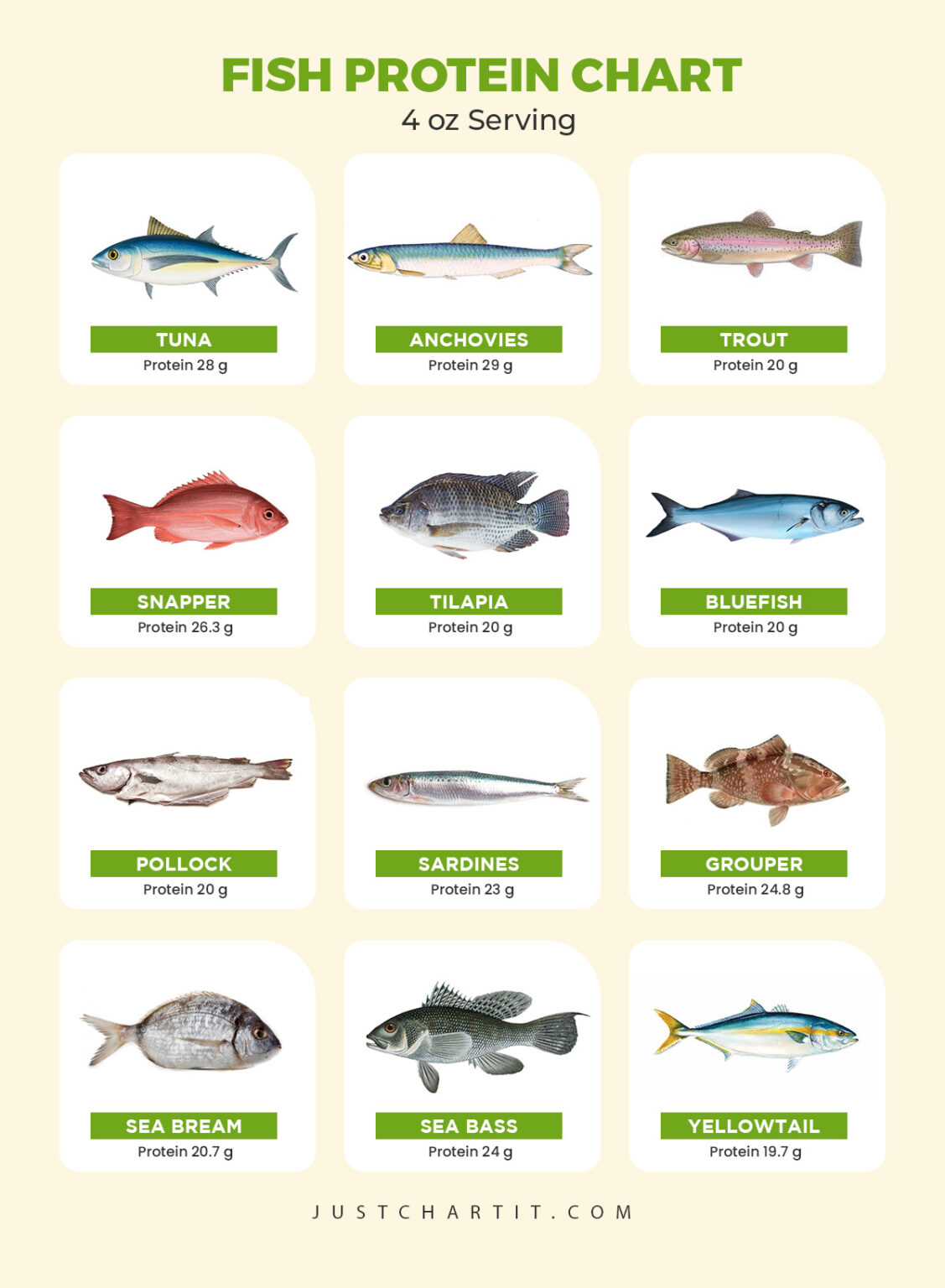 Fish Protein Chart : Low And Hight Protein Fish List