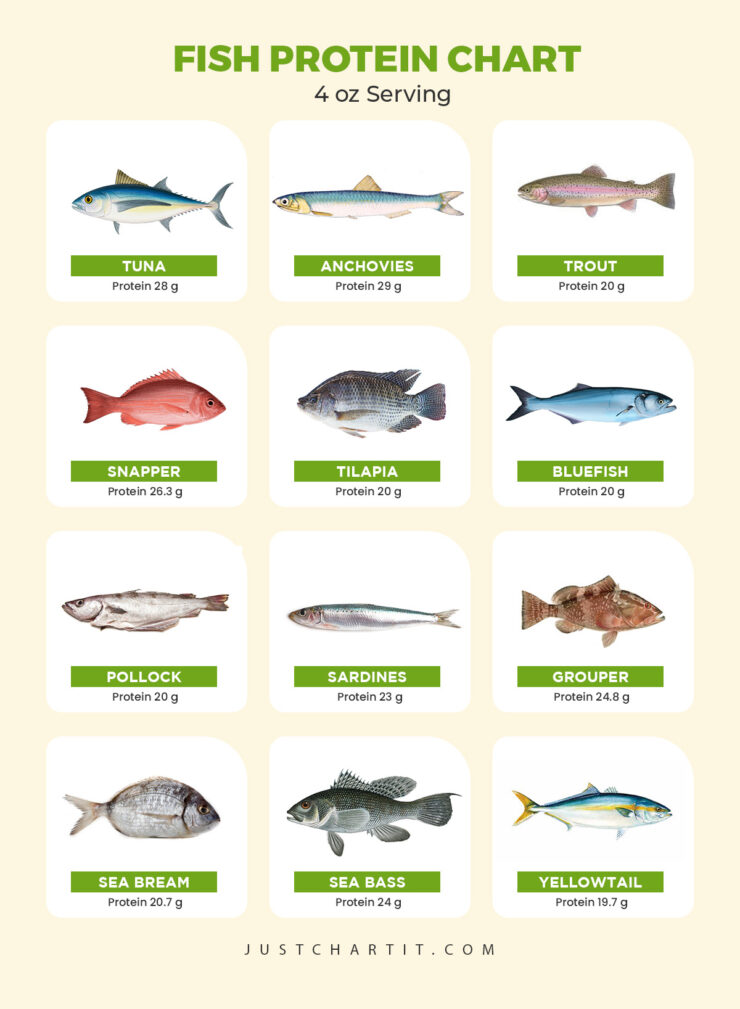 fish protein chart